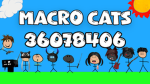 macro cats