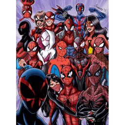 SPIDERMAN RAID MEETING SPOT