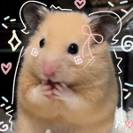 Hamster group chat