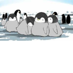 Penguin Corp.