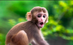 Sephora’s gaming channel!