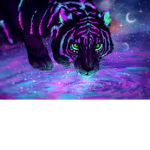 Magictiger123