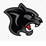 PerfectPanther