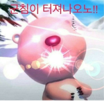 꽈찌쭈의 그룹