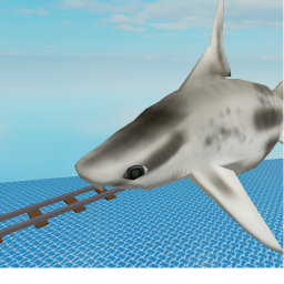 cart ride into caribbean roughshark