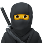 Ninja Boys Inc