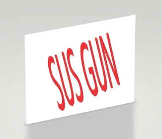 TEST PLACE-SUS GUN