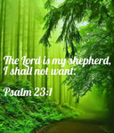 - Christianity Jungle -