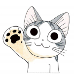 Cat shopp