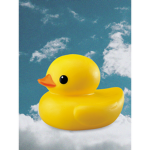 Callums duck army