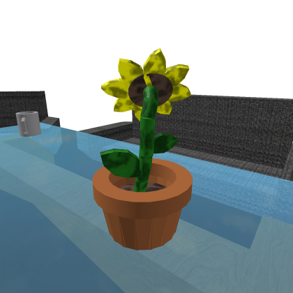 Couch and Coffee Table