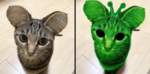 Group Thumbnail