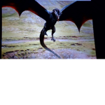 dragons inc