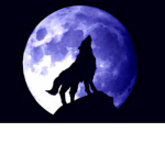 the midnight wolf pack.