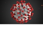 coronavirus official fan club