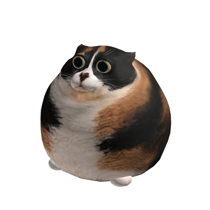 BIG Meme Cat