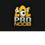 THE NOOB PRO TEAM