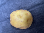 Potato fun!!!!!!!!