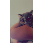 Mes ami(es)