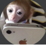 Monkey gang/ iPhone Monkey gang