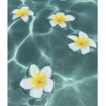Tidal_wave
