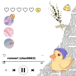 .'- Runner para patitos! -'.