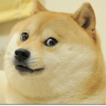 Doggy.