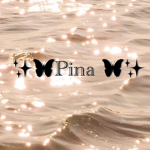 P I N A athetic clothes