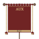 《Auxiliary Cohorts》