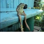 just a casual grou