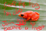 Geoff The Frog Fan Club