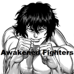 Awakened Fighters