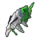 Auschwit