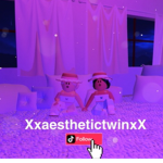 #aesthetictwin