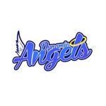 Dynamic Angels Juniors Dance Team