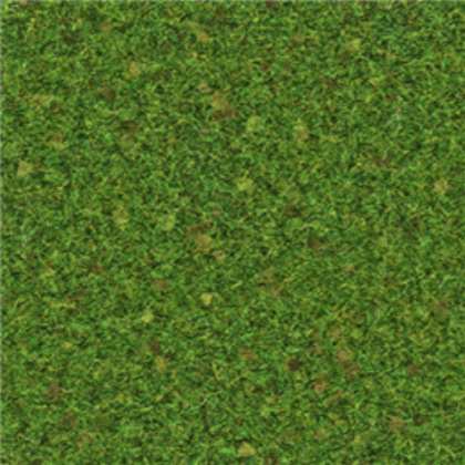 Grass_Texture Roblox decal