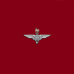 1st Battalion, Parachute Regiment | Spartan Group