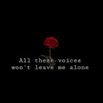 Words Hurt.....