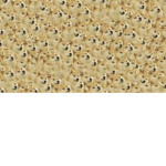 Lil_bagels friends