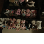 Ally’s Beanie boo world