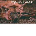 The Hyena's Cackle