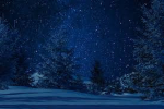 Stargazing Stars