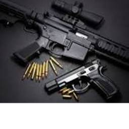Gun game night