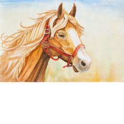 Sundown Stables!!