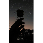 Fading Feelings !