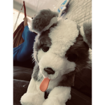 #Puppy’s club