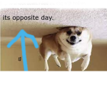 gooddddayyy