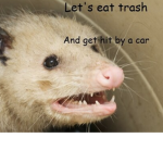 the club of rats