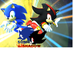 Team Sonic And Shadow Sonic Speed Sim