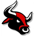 NY Bulls
